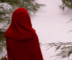 Red Riding Hood Cloak Amanda Seyfried